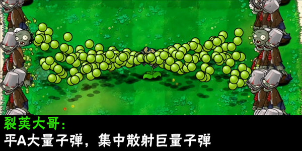 植物介绍配图18