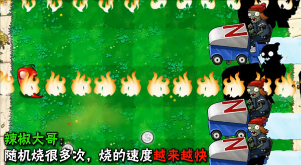 植物介绍配图15