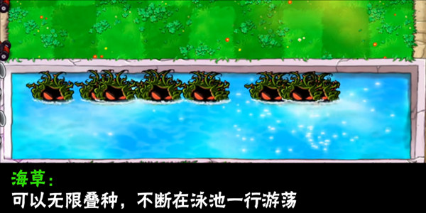 植物介绍配图16