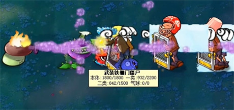 植物介绍4