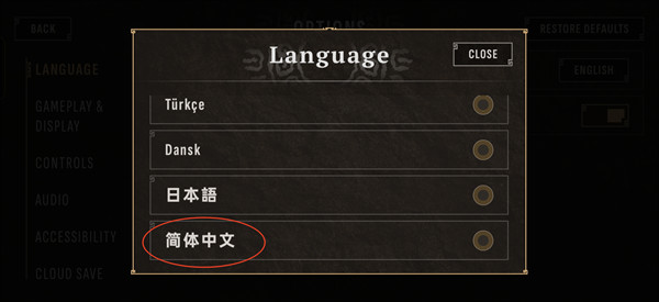 怎么设置中文配图3