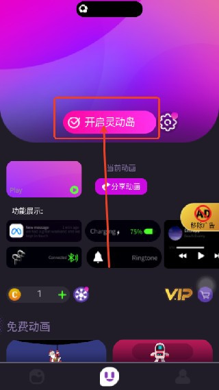 皮卡灵动岛