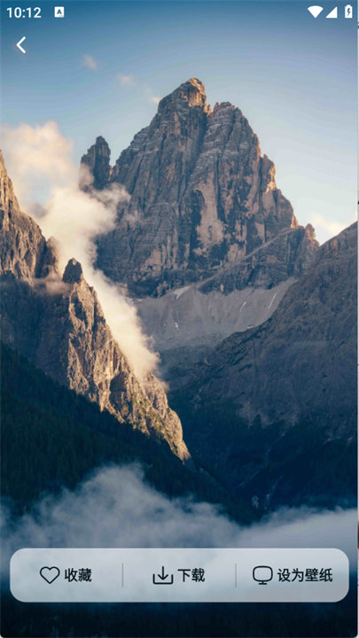 跃动壁纸手机版截图3