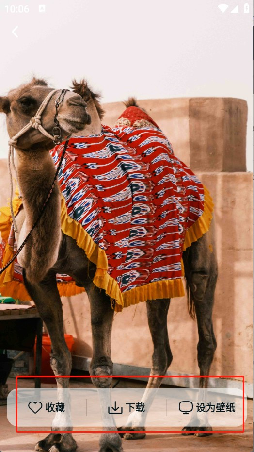 跃动壁纸手机版使用方法5