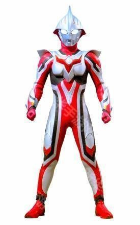 形态有哪些截图4