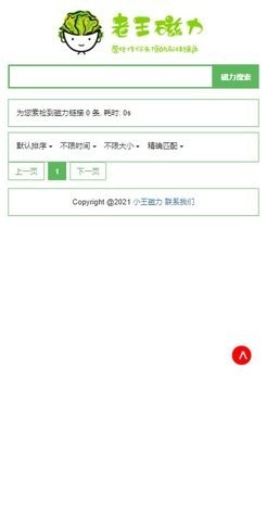 老王磁力专业版